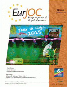 Eur J Org Chem